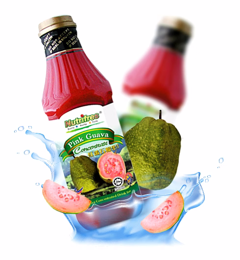 NUTRIFRES CONCENTRATED JUICE image 4