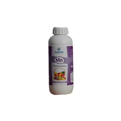 ENGIMINS Mn-1