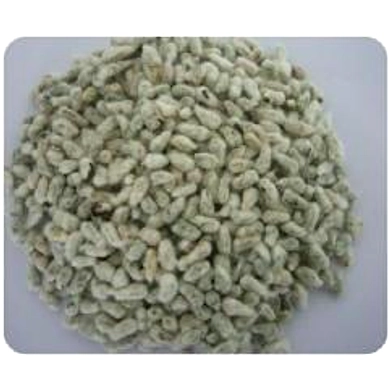 Cotton Seed-BGA003