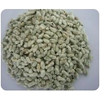 Cotton Seed