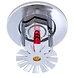 Rust Verification Sprinkler System-RCE002-sm