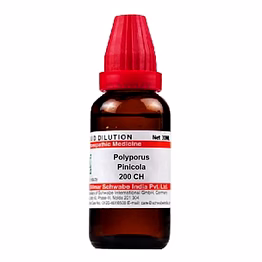 willmar schwabe india polyporus pinicola 200 ch (30ml) for raised temperature