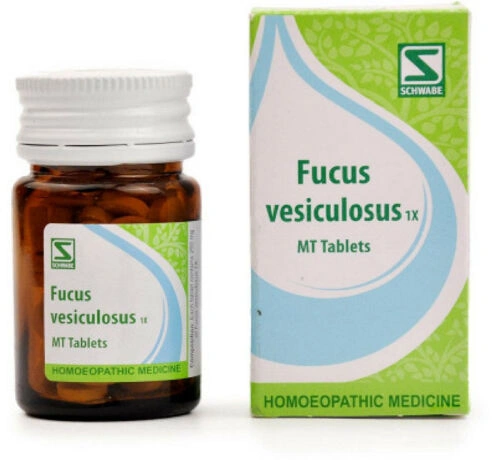 Willmar Schwabe Fucus Vesiculosus 1X Tablets (20g)-11843052