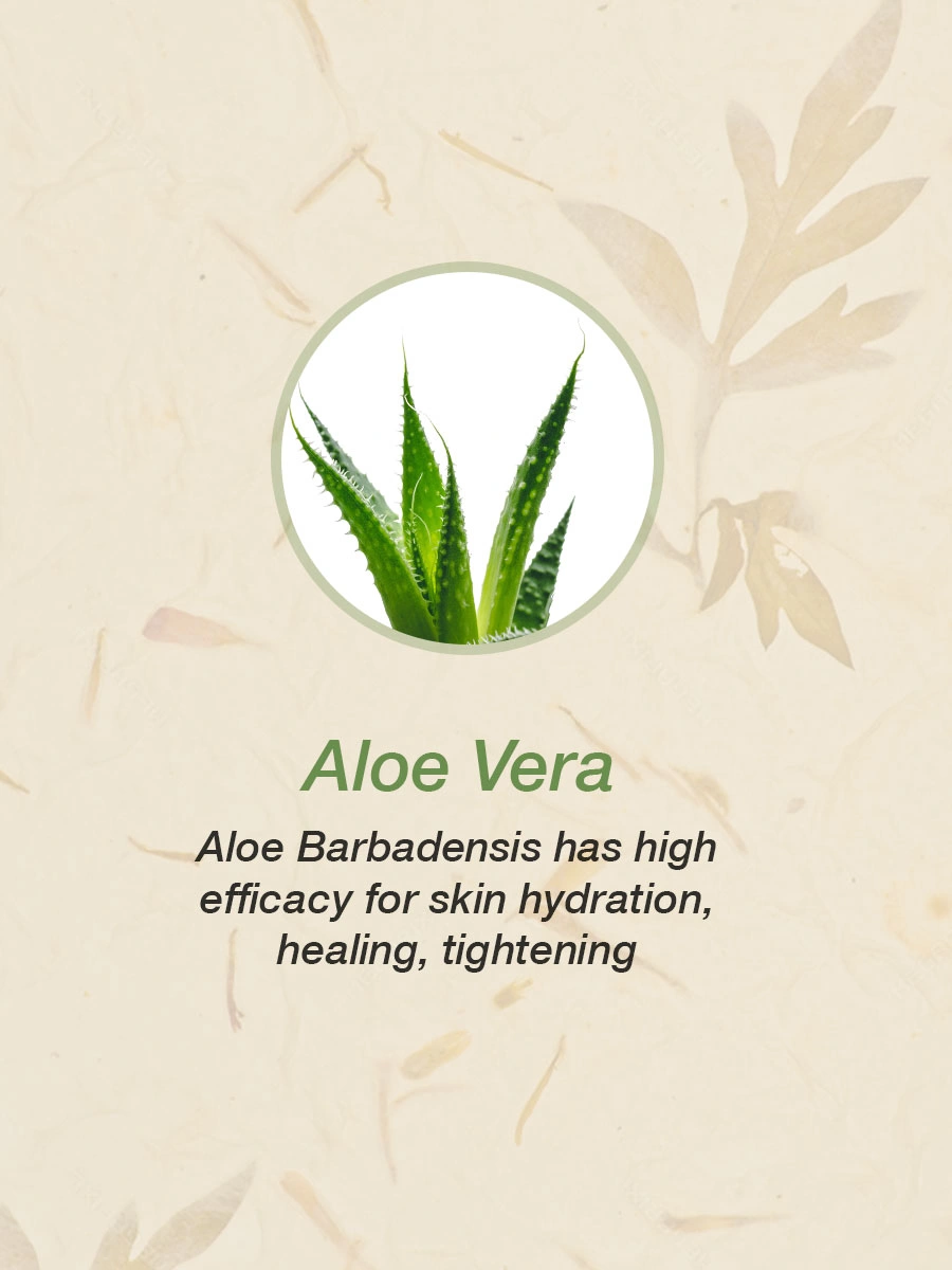 Organic Pure Aloe Vera Gel with Vitamin E-1