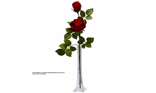 SPHINX® Artificial Roses for Floral Arrangements/Decoration/Gifting- (Red, 1)