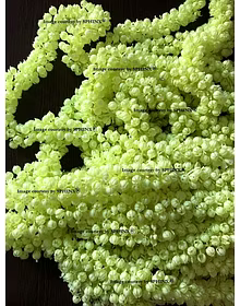 Sphinx Re-usable Artificial Jasmine Buds Short Garlands for Decoration Approx. 2.5 ft (Color AS Shown in Image/Greenish) (6)
