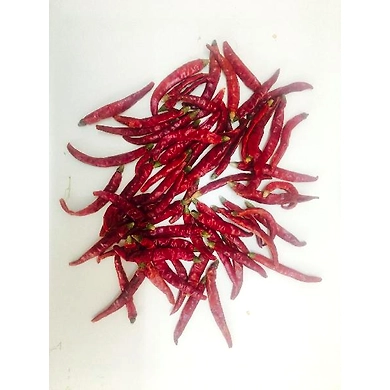 S17 Teja Stem Cut Chilli-6463204