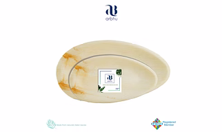 11" Oval Palm Leaf Plate