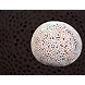 &quot;Vishwanda&quot; Stone Carved Art Sculpture-Vishwanda_Art_Sculpture-sm