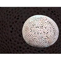 "Vishwanda" Stone Carved Art Sculpture