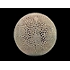 &quot;Vishwanda&quot; Stone Carved Art Sculpture-1-sm