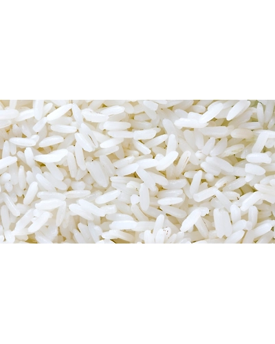 BASMATI RICE-1