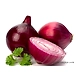 Fresh Onion-6469354-sm