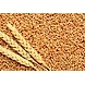 Fresh Wheat-6469356-sm