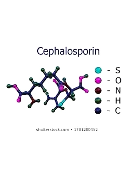 Cephalosporin