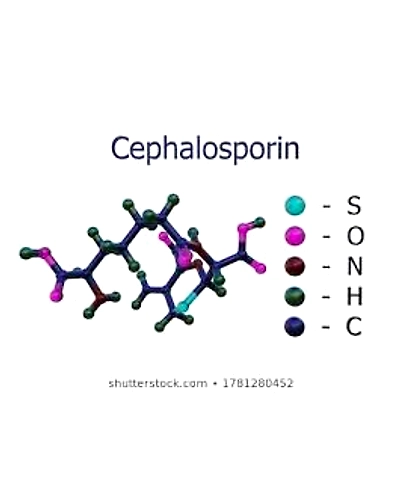 Cephalosporin-6474648