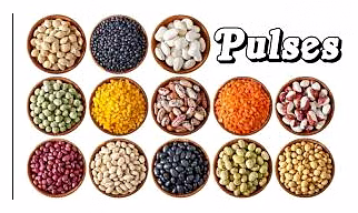 Pulses