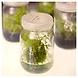 Herbal Perfumes for Bath Soaps-6474854-sm