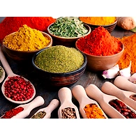 SPICES