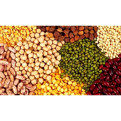 PULSES-6490976