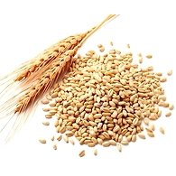 WHEAT