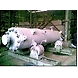 Reactors-GCY004-sm
