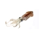 Squid- White (Loligo Duvauceli)