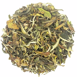 bai mudan white tea - exquisite first flush harvest & health benefits