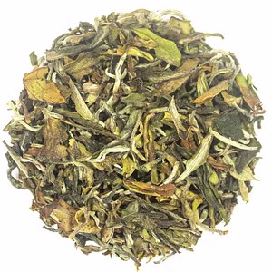 Kyra Bai MuDan White Tea - Exquisite First Flush Harvest & Health Benefits