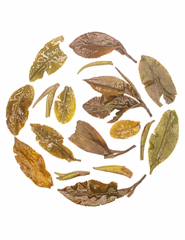 Bai MuDan White Tea - Exquisite First Flush Harvest &amp; Health Benefits-2-sm