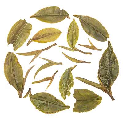 spring white tea
