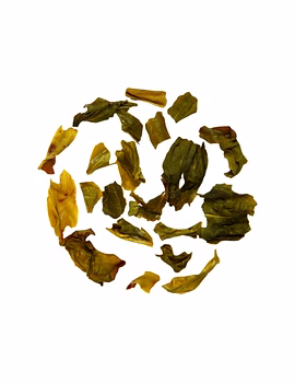 Elixir Green Tea Regular-2-sm