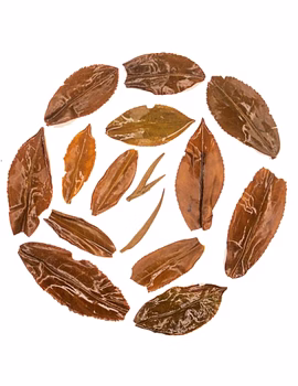 Gold Thor Fruity Muscatel Black Tea | Summer Darjeeling Second Flush 2025 | 100% Fine Whole Leaf Tea-2-sm