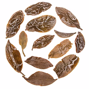 Rohini Darjeeling Second Flush Tea 2025 | Classic China Muscatel Black Tea | 100% Whole Leaf Tea