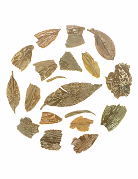 Rohini Darjeeling Second Flush Tea 2025 | Summer Beauty Muscatel | Whole Leaf Black Tea-12811639-sm