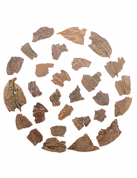 Summer Muscatel Gold | Darjeeling Muscatel Flavour with Prominent Woody Notes | Second Flush 2025-1-sm