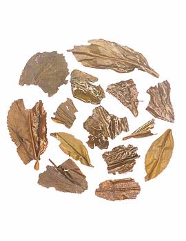 Rohini Darjeeling Second Flush Tea 2025 | Royal Peppery Oolong | 100% Fine Leaf Tea-1-sm