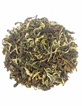 Rohini Second Flush Silver Tips Oolong | Royal Summer Darjeeling Second Flush Tea 2025 | Bug Bitten Fine Leaf Tea