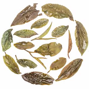 Rohini Darjeeling Second Flush Oolong Tea 2025 | Summer Honey Oolong | Bug Bitten Whole Leaf Tea