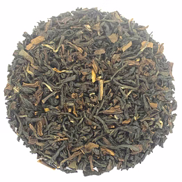 rohini darjeeling second flush oolong tea 2025 | summer honey oolong | bug bitten whole leaf tea