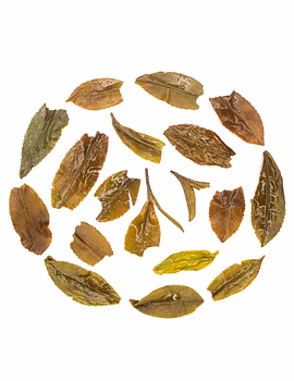 Rohini Darjeeling Second Flush Tea 2025 | Summer Fruity Oolong | 100% Fine Whole Leaf Tea