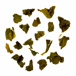 darjeeling first flush green tea | arogyam premium spring green tea | refreshing flavour with no bitterness