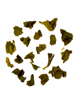 Darjeeling First Flush Green Tea | Arogyam Premium Spring Green Tea | Refreshing Flavour with No Bitterness