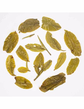 Rohini Darjeeling First Flush Tea 2025 | Rare Spring Green Tea | 100% Finely Plucked Whole Leaf Tea