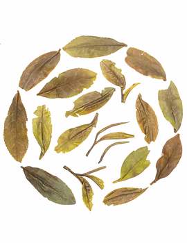 Darjeeling Spring Peony with 100% Fine Whole Leaf Tea-1-sm