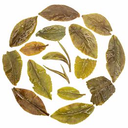 rare hand rolled spring beauty