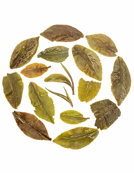 Rare Hand Rolled Spring Beauty-12809200-sm