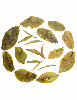 Rohini Darjeeling First Flush Tea 2025 | First Pick Jethikupi-5-sm