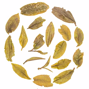 Darjeeling Spring Baozhong with 100% Finely Plucked Whole leaf Tea