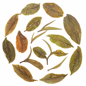 Honey Oolong Spring with 100 % Finely Plucked Whole Leaf Tea